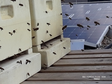 FUNDAG: Solar und Naturschutz